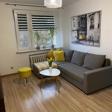 Apartament Saski 산도미에르즈 외부 사진